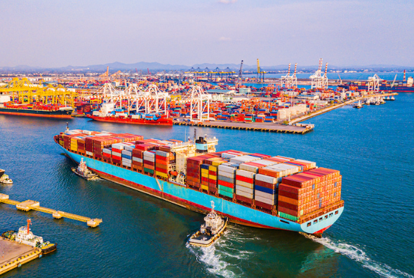 Import/Export License